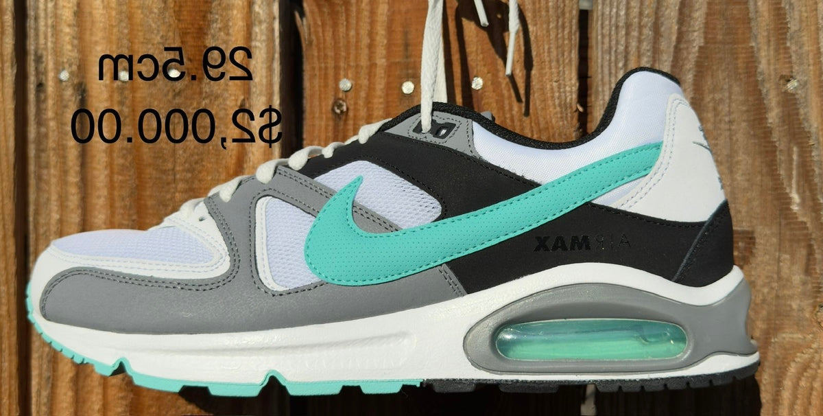 Nike Air Max