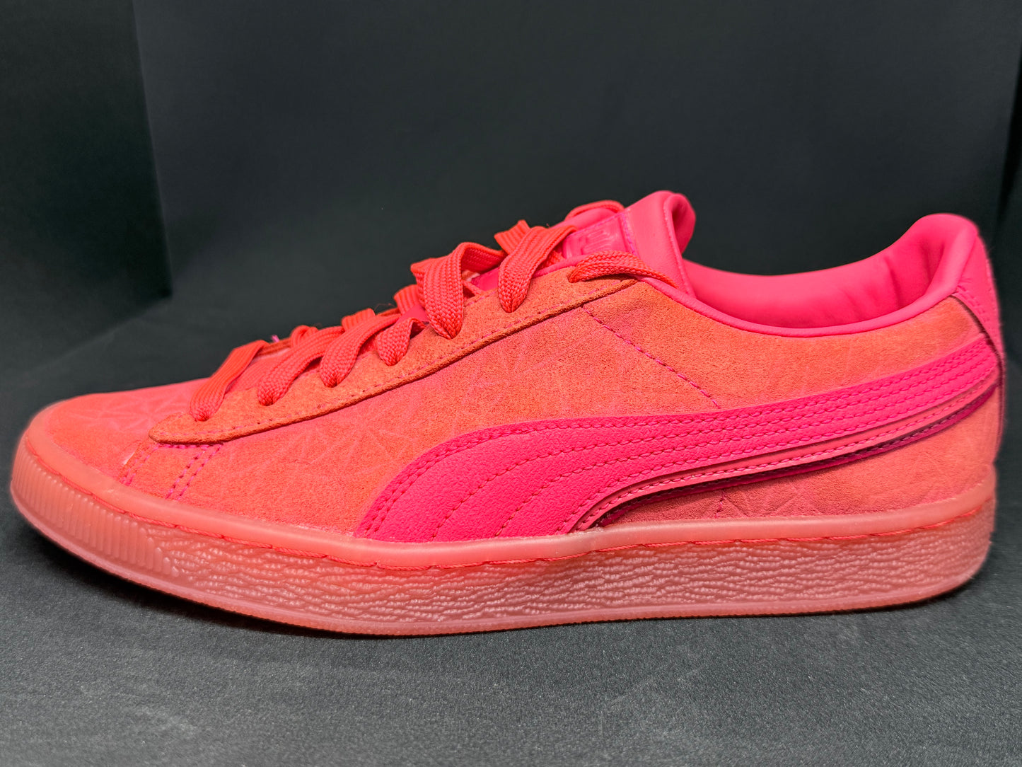 Puma Tela