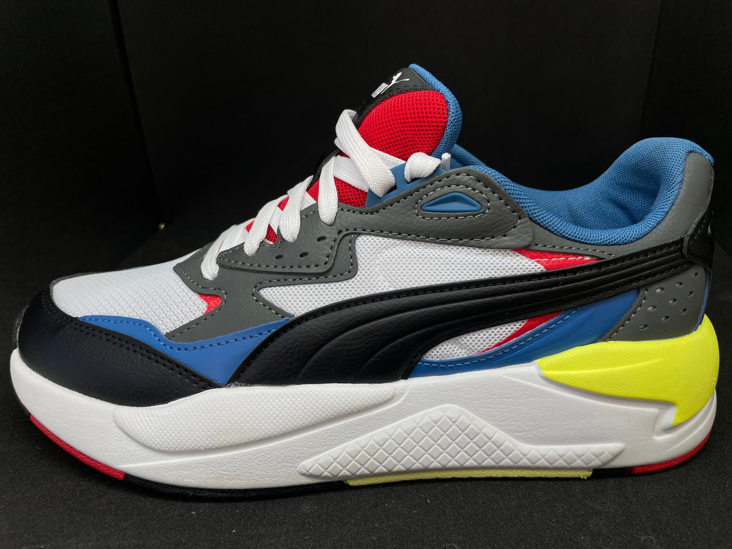 Puma X-RAY