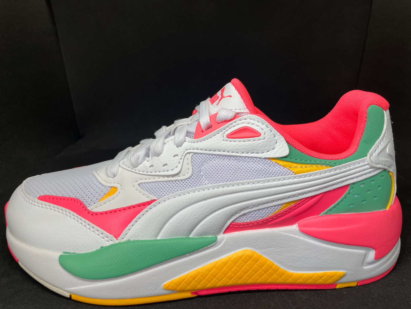 Puma X-Ray