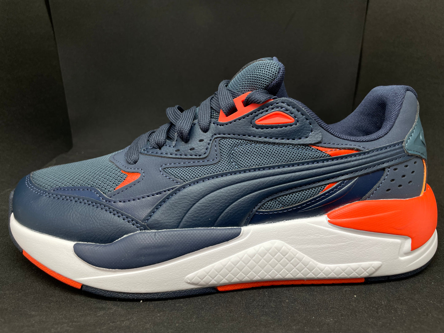 Puma X-Ray