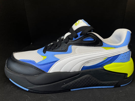 Puma X-Ray