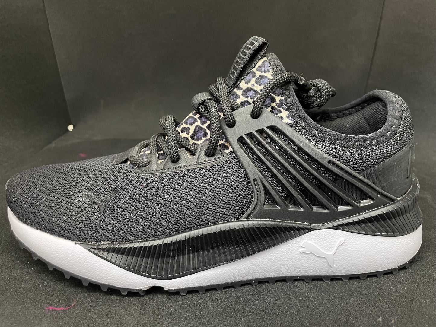 Puma Pirámide